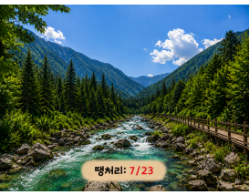 [C-81B] 가평 잣향기푸른숲+명지계곡