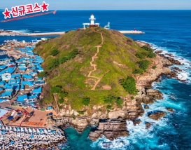 [C-85D] 2026 신규상품! 영덕 100대명품숲 벌영리 메타세콰이어숲+죽도산 전망대