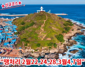 [C-85D] 2026 신규상품! 영덕 100대명품숲 벌영리 메타세콰이어숲+죽도산 전망대