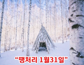 [C-87D] 인제 자작나무 숲 설경여행+설악항&설악해맞이공원+울산바위뷰 카페