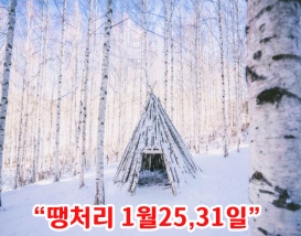 [C-87D] 인제 자작나무 숲 설경여행+설악항&설악해맞이공원+울산바위뷰 카페