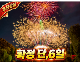 [C-89C] 태안 신두리 해안사구 갈대정원+피나클랜드 오천만송이 국화축제+ 야경불꽃놀이