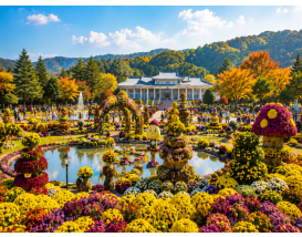[C-93C] 청남대 국화축제&단풍+좌구산 족욕&꽃차&명상구름다리+보강천 미루나무숲