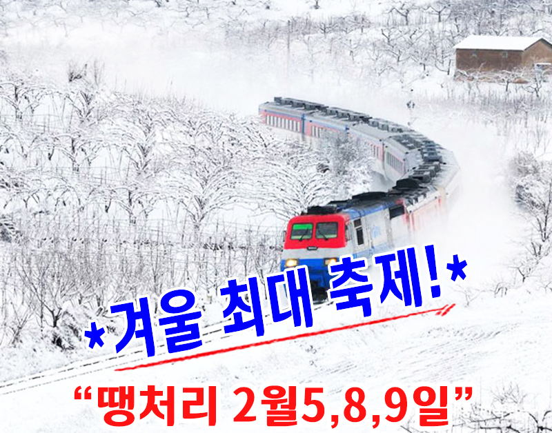 [C-95D] 태백 환상선 눈꽃열차+태백 눈꽃축제&천제단&태백산하늘전망대