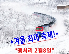 [C-95D] 태백 환상선 눈꽃열차+태백 눈꽃축제&천제단&태백산하늘전망대