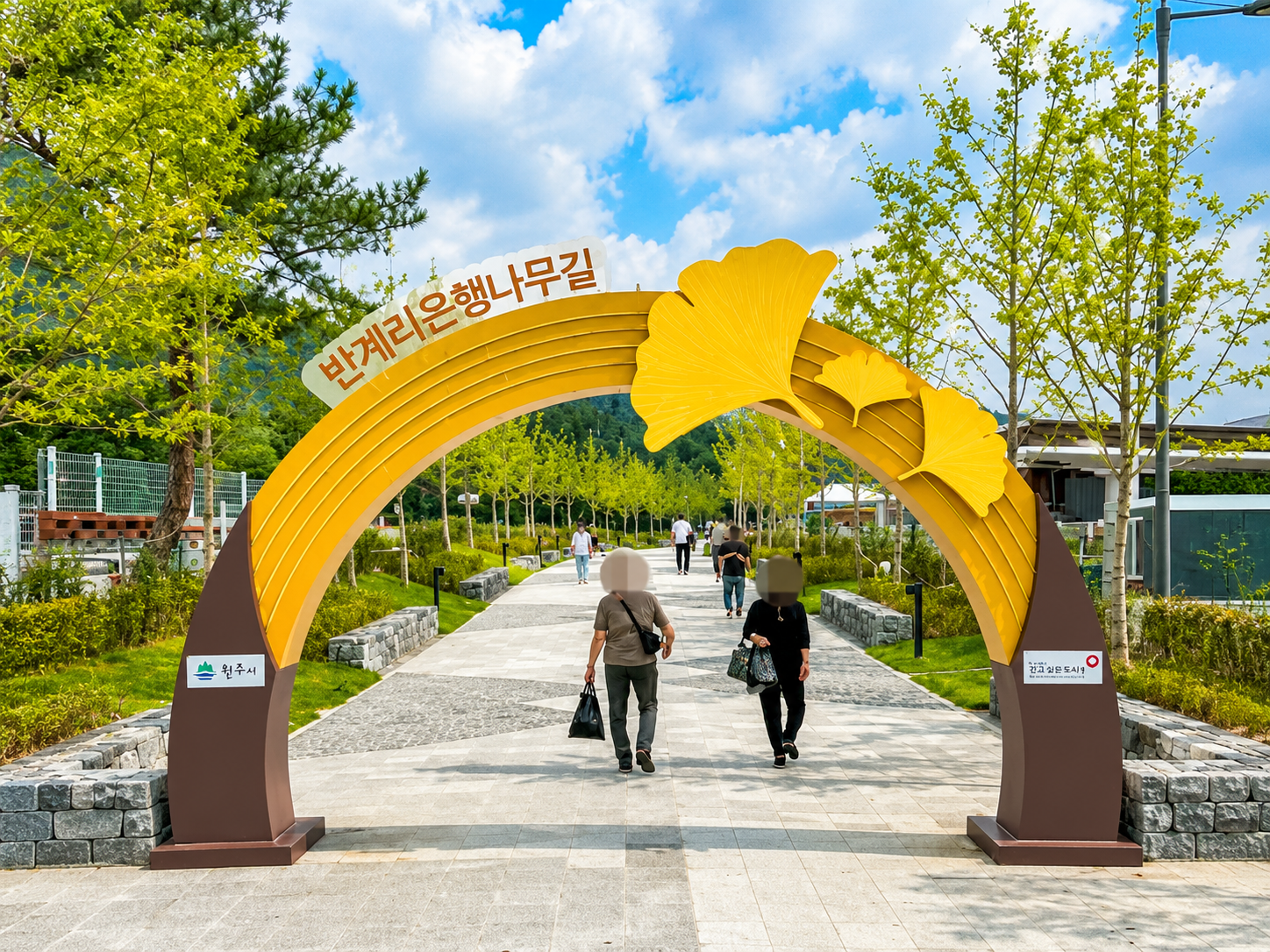 [C-96C] 원주반계리은행나무+소금산단풍케이블카+동화마을가을꽃축제