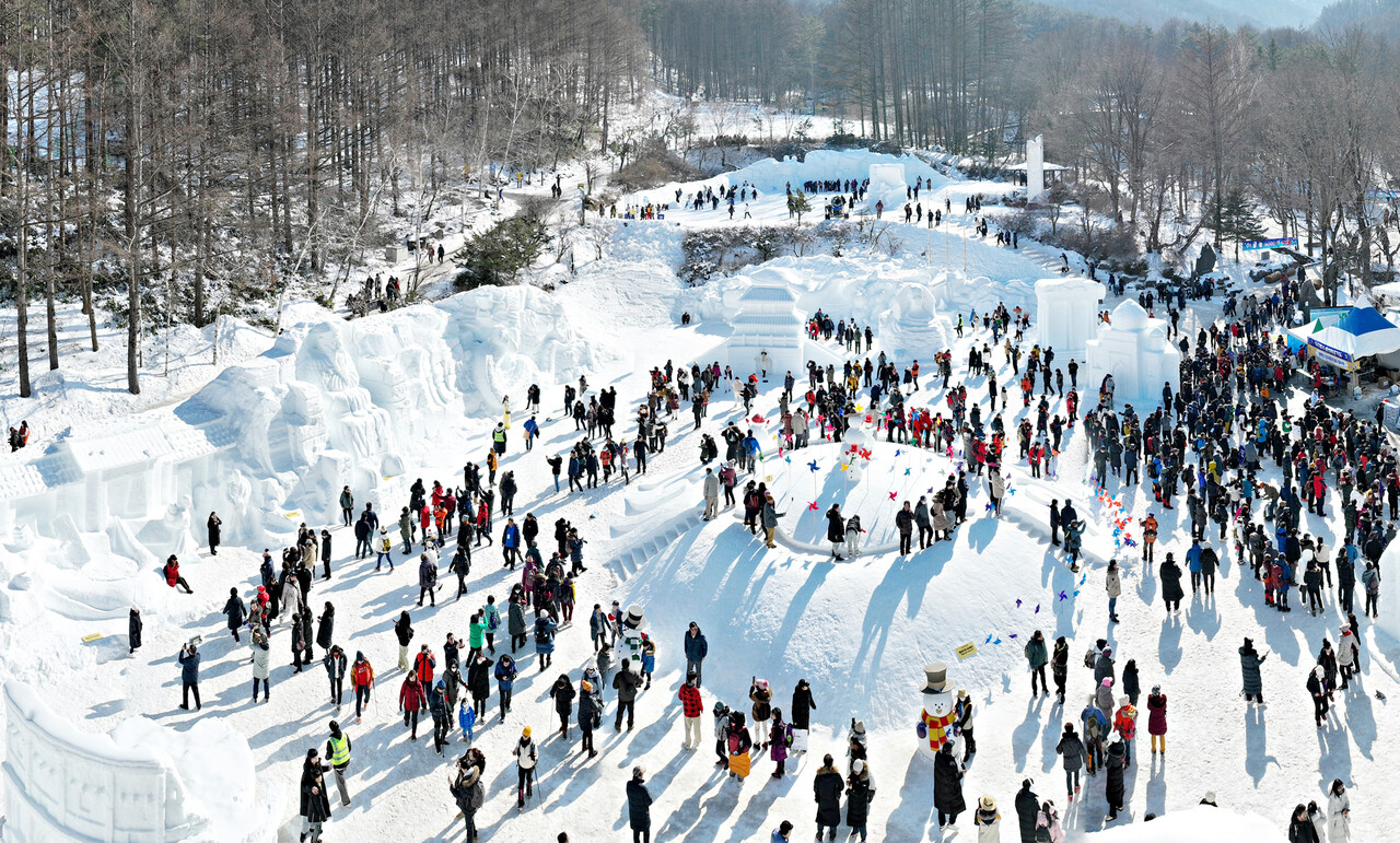 [C-97D] 태백 눈꽃축제&태백산하늘전망대+몽토랑 산양목장