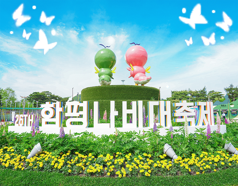 [C-98A] 2026함평나비축제+돌머리해안+주포한옥마을