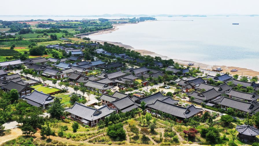 [C-98A] 2026함평나비축제+돌머리해안+주포한옥마을