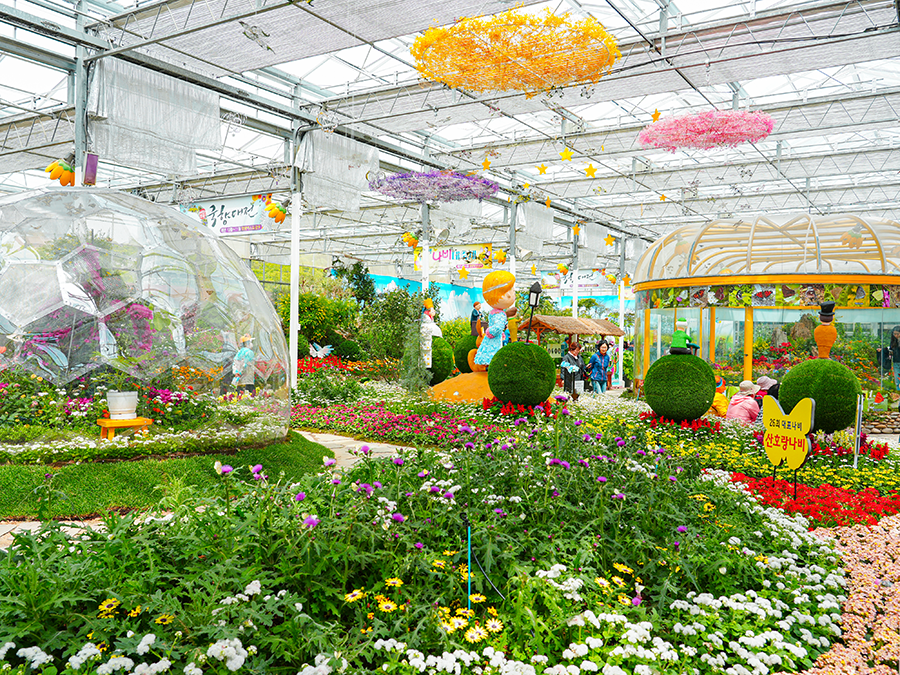 [C-98A] 2026함평나비축제+돌머리해안+주포한옥마을