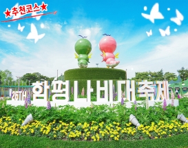 [C-98A] 추천코스 2026함평나비축제+돌머리해안+주포한옥마을