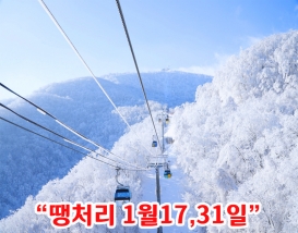 [C-99D] 발왕산 케이블카+삼양라운드힐 설경
