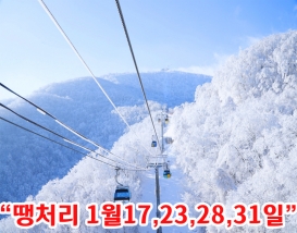 [C-99D] 발왕산 케이블카+삼양라운드힐 설경