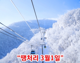 [C-99D] 발왕산 케이블카+삼양라운드힐 설경