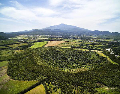 [JP-01] 제주도 실속투어 *노팁&노옵션*