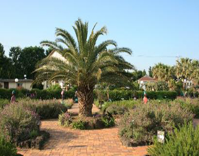 [JP-01] 제주도 실속투어 *노팁&노옵션*