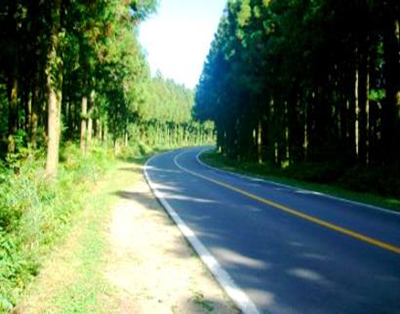 [JP-01] 제주도 실속투어 *노팁&노옵션*