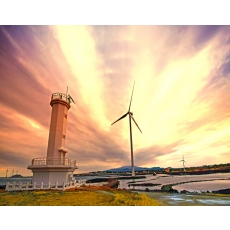 [JP-01] 제주도 실속투어 *노팁&노옵션*