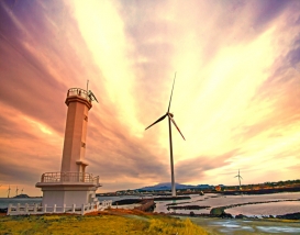 [JP-01] 제주도 실속투어 *노팁&노옵션*