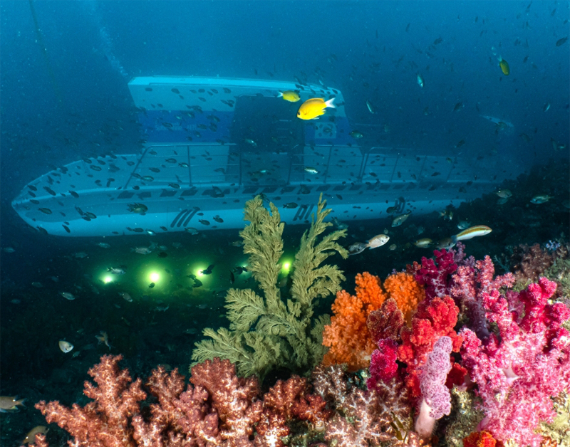 [JP-03] 제주도 잠수함 투어 *노팁&노옵션*