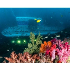 [JP-03] 제주도 잠수함 투어 *노팁&노옵션*