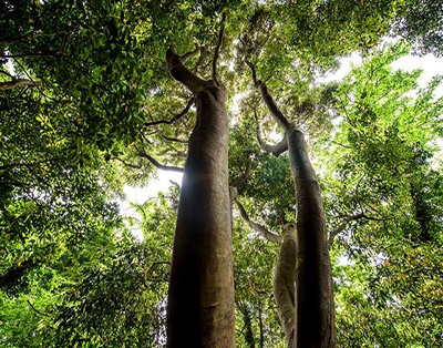 [JP-04] 제주도 백록담 힐링 투어 *노팁&노옵션*