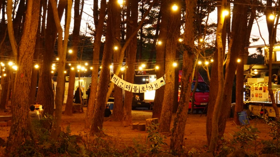 [JP-20] 제주도 1박2일 소규모 미니여행(5인이상 ~15인미만)