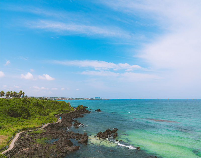 [JP-20] 제주도 1박2일 소규모 미니여행(5인이상 ~15인미만)