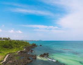 [JP-20] 제주도 1박2일 소규모 미니여행(5인이상 ~15인미만)