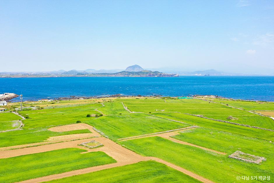 [JP-44A] 전일정 노팁,노옵션! 4월 제주도 봄 2박3일 패키지