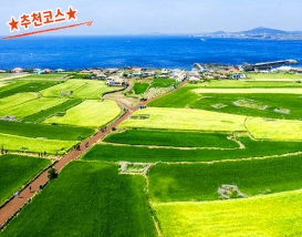 [JP-44A] 전일정 노팁,노옵션! 4월 제주도 봄 2박3일 패키지