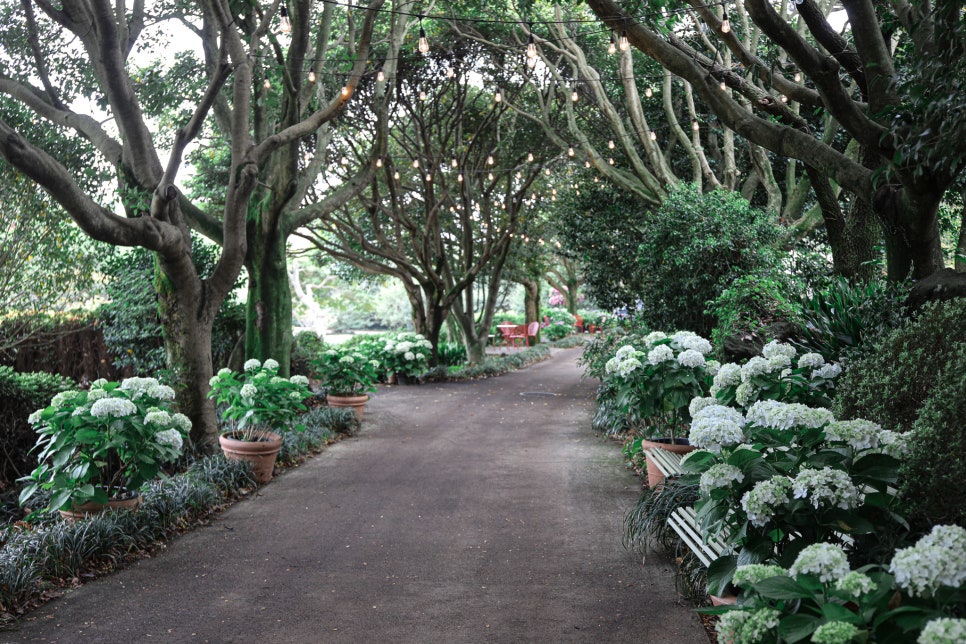 [JPD-44A] 26년 4월 제주도 당일여행 특가패키지