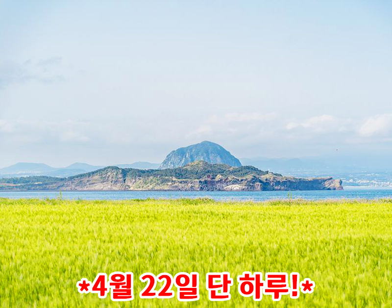 [JPD-44A] 26년 4월 제주도 당일여행 특가패키지
