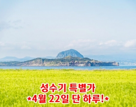 [JPD-44A] 26년 4월 제주도 당일여행 특가패키지