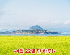 [JPD-44A] 26년 4월 제주도 당일여행 특가패키지