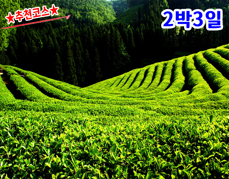 [K-1] 전남+해남+장흥+보성+여수 맛기행 일주 2박3일