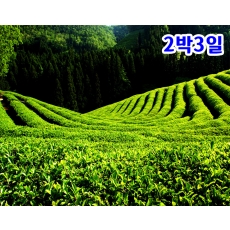 [K-1] 전남+해남+장흥+보성+여수 맛기행 일주 2박3일