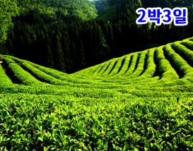 [K-1] 전남+해남+장흥+보성+여수 맛기행 일주 2박3일