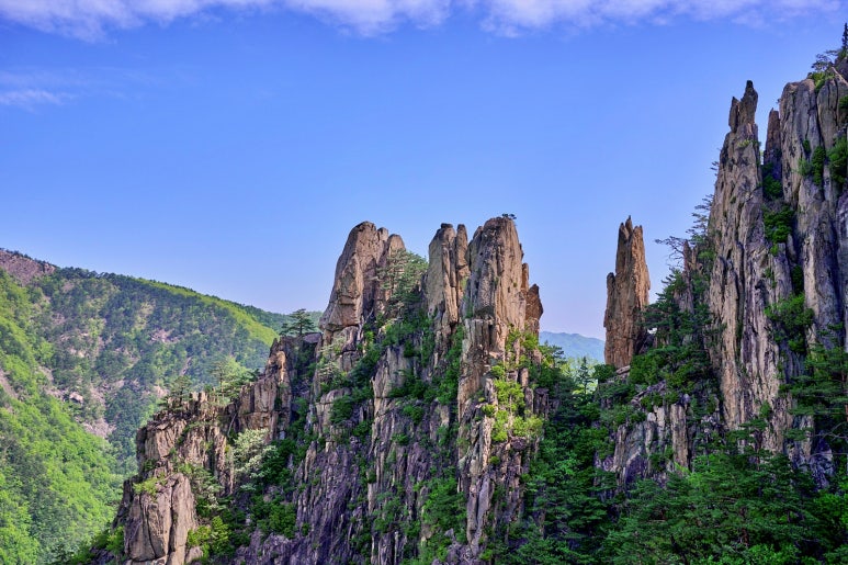 [K-3] 강원 인제+양양+동해+울진+영주 일주 2박3일