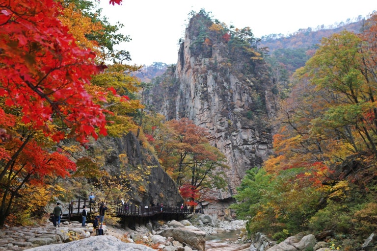 [K-3] 강원 인제+양양+동해+울진+영주 일주 2박3일