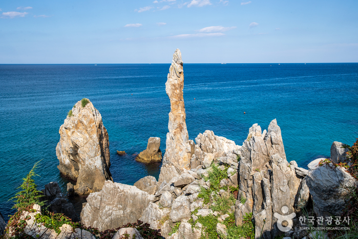 [T-11] 홍익여행사와 함께하는 강원도KTX 2박3일 기차여행