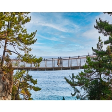 [T-11] 홍익여행사와 함께하는 강원도KTX 2박3일 기차여행