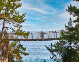 [T-11] 홍익여행사와 함께하는 강원도KTX 2박3일 기차여행