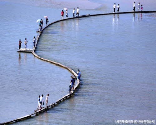 [T-3] 홍익여행사와 함께하는 경북KTX 1박2일 기차여행