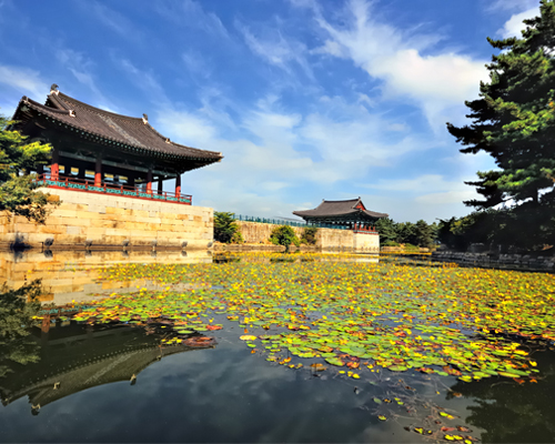 [T-5] 홍익여행사와 함께하는 경주시티KTX 당일 기차여행