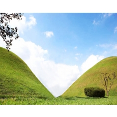 [T-5] 홍익여행사와 함께하는 경주시티KTX 당일 기차여행