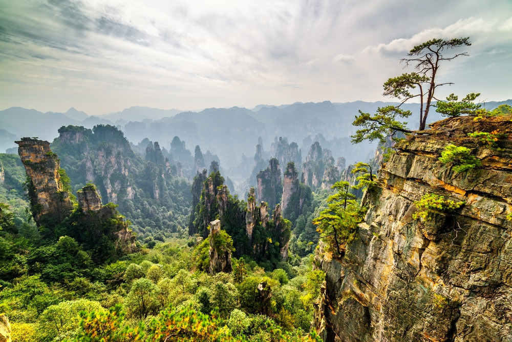 [W-05] 중국 장가계+원가계+천문산 4박5일