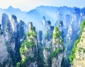 [W-06] 중국 장가계+팔면산+천문산+원가계 6박7일