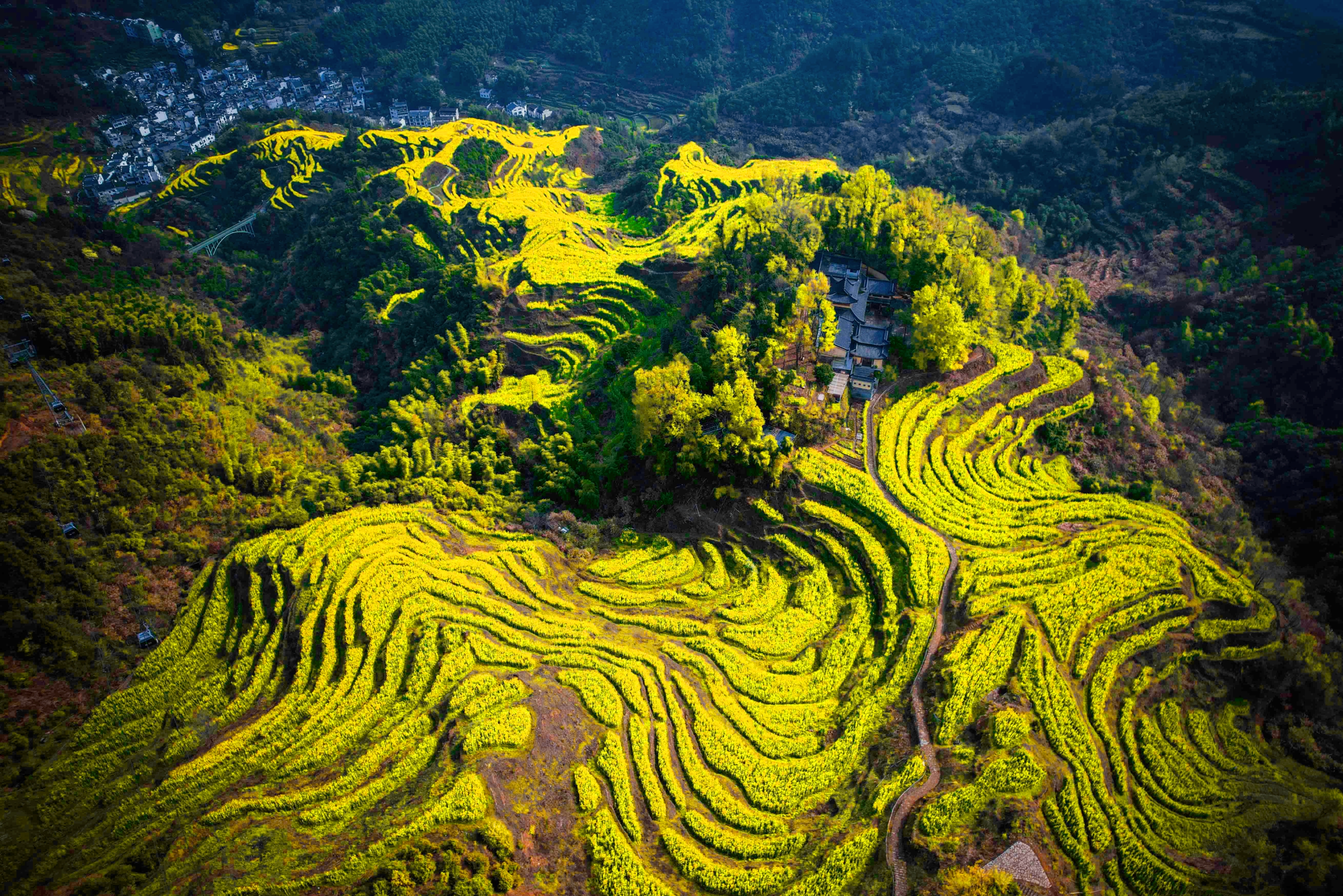 [W-16] 유채꽃 바다 중국 황령풍경구 4박5일
