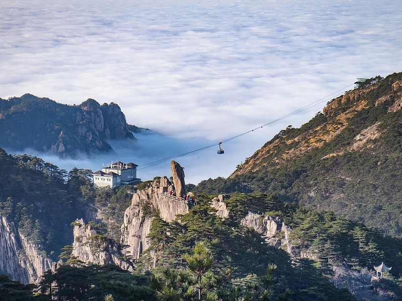 [W-16] 유채꽃 바다 중국 황령풍경구 4박5일